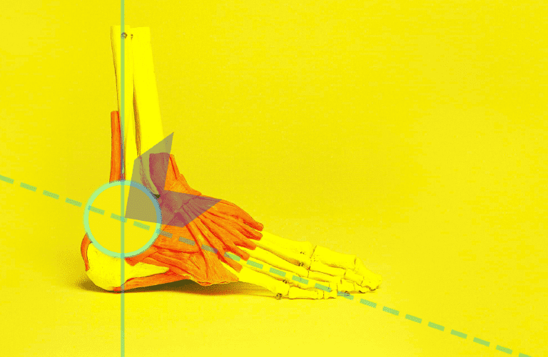 Modelo anatómico del pie y tobillo con músculos resaltados en rojo y morado, fondo amarillo brillante y líneas azules que cruzan la articulación señalada con un círculo azul.