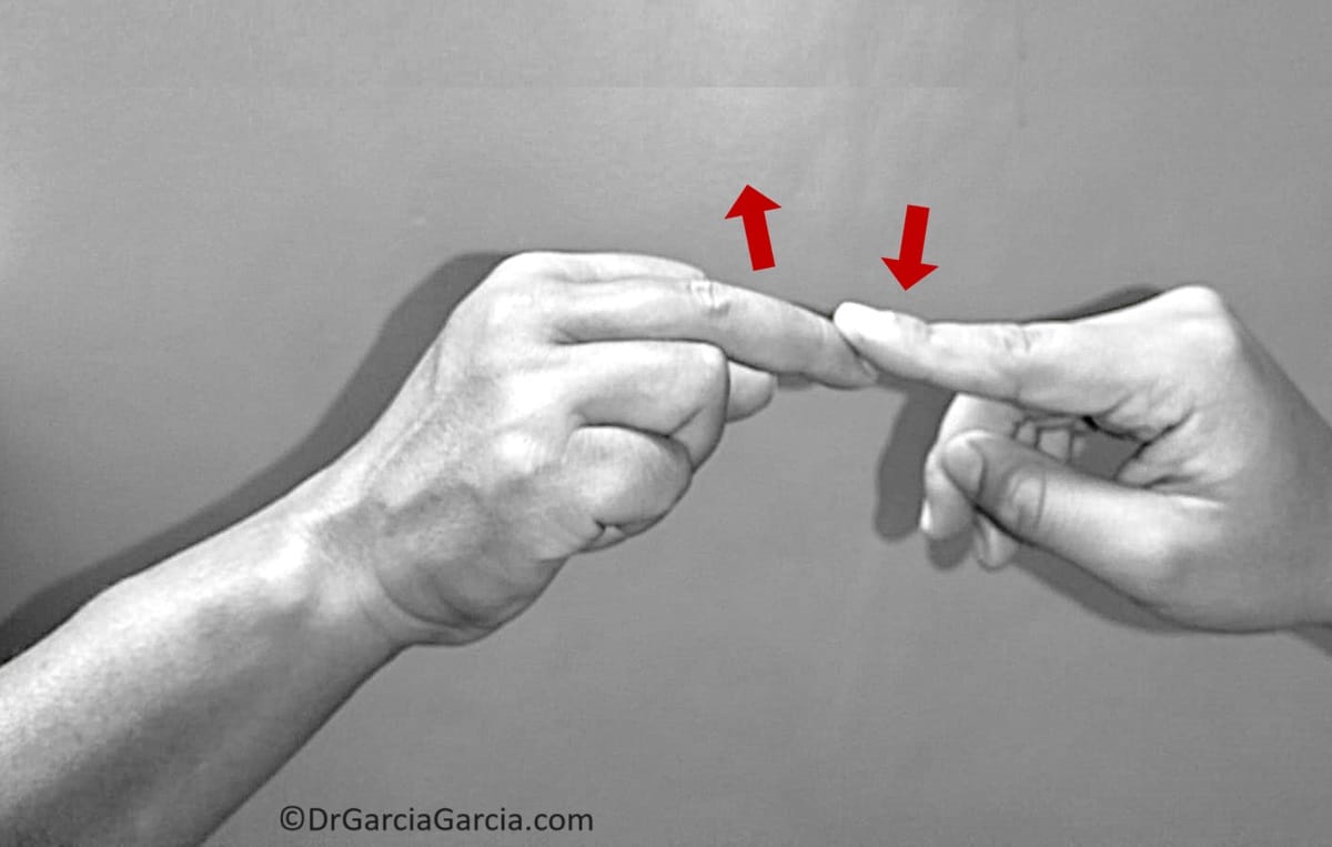 Figura 6. Prueba de Maudsley